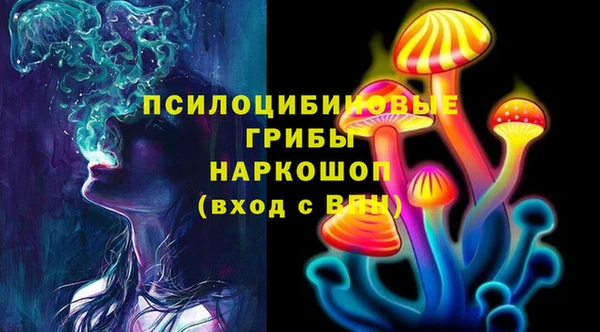 прущая мука Богородск