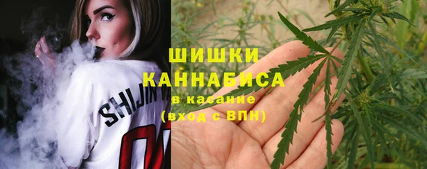 mix Богородицк